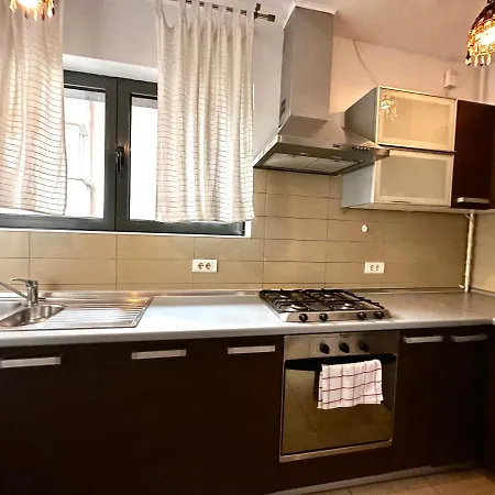 Apartment Welcoming In Victoriei