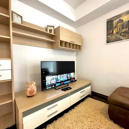Welcoming In Victoriei Apartment