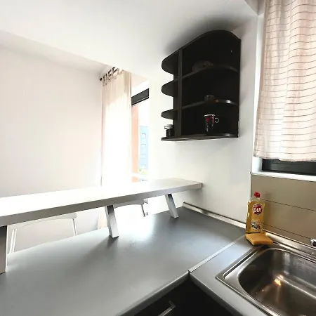 Apartment Welcoming In Victoriei *